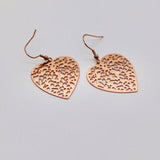 Stainless Steel Fashion Earrings - Bodacious Bijous