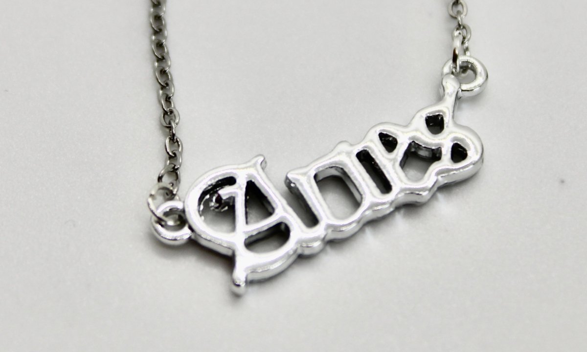 What's Your Sign Zodiac Name Necklace - Bodacious Bijous Aries Silver
