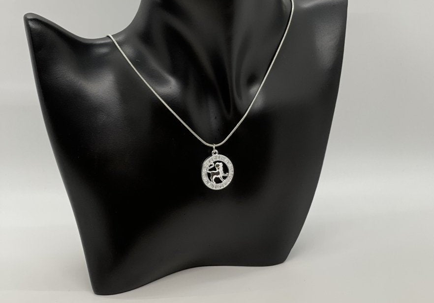 What's Your Sign Zodiac Necklace - Bodacious Bijous