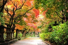 Fall Colors and Jewelry! - Bodacious Bijous LLC
