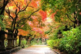 Fall Colors and Jewelry! - Bodacious Bijous