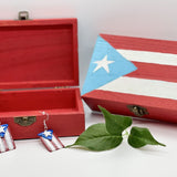 PR Pride Earring & Jewelry Box Set - Bodacious Bijous