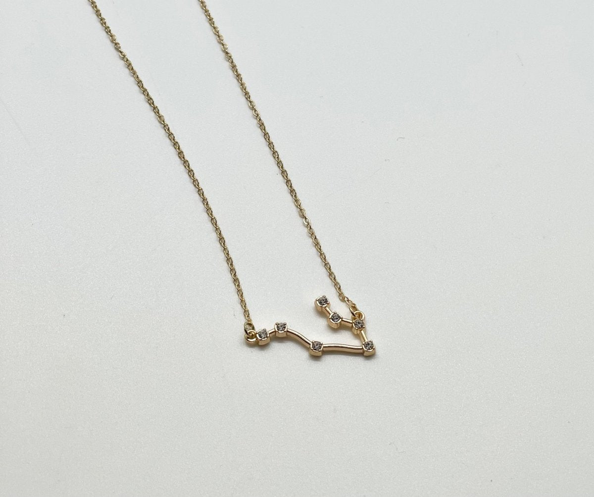 What's Your Constellation Sign Necklace - Bodacious Bijous