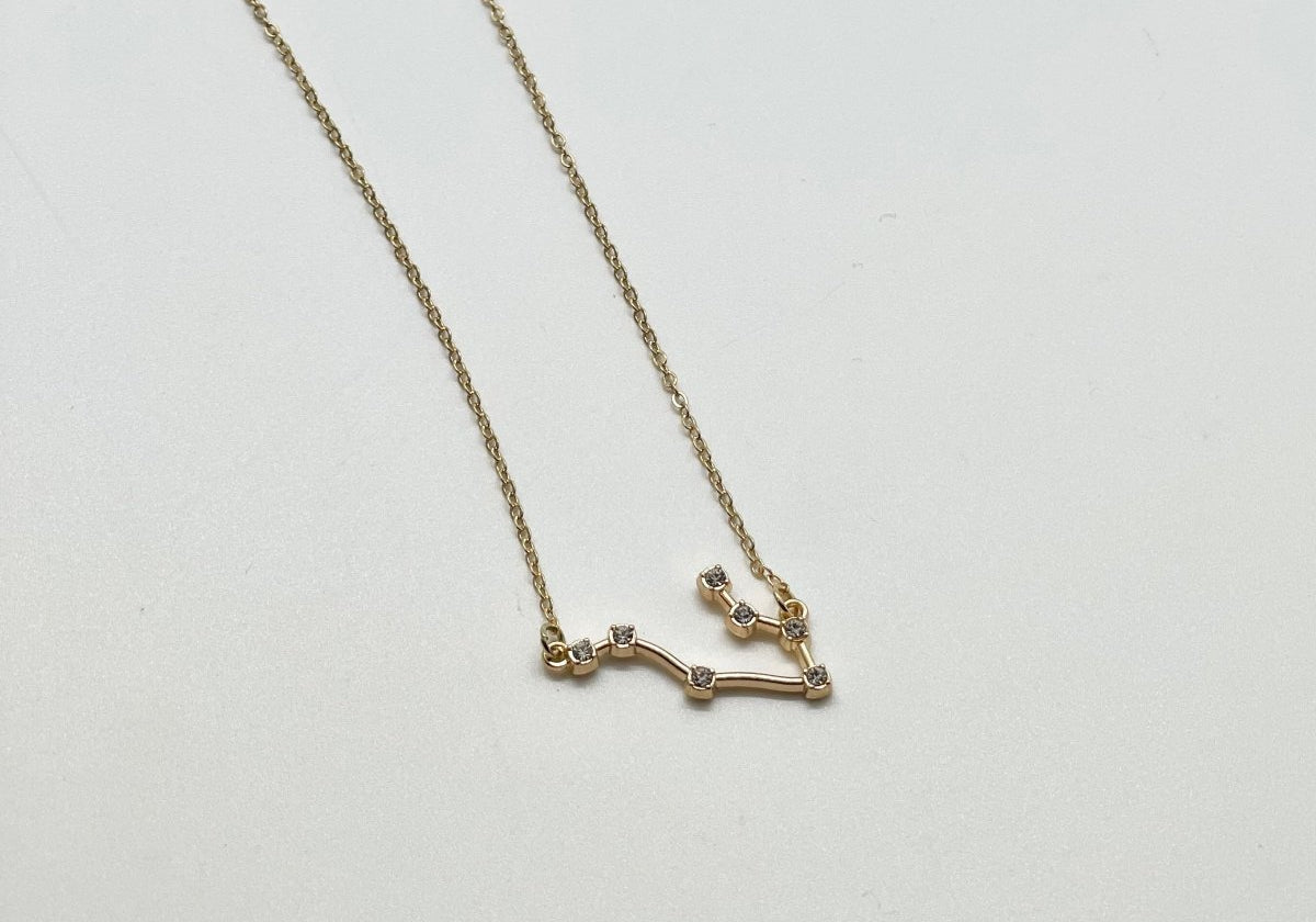 What's Your Constellation Sign Necklace - Bodacious Bijous