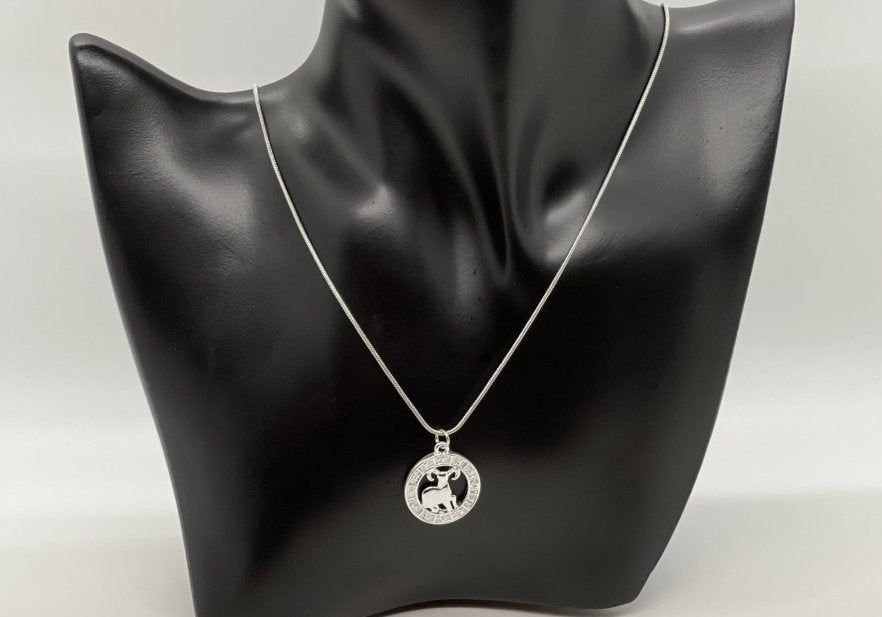 What's Your Sign Zodiac Necklace - Bodacious Bijous